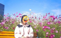 星空传媒XK8033房东